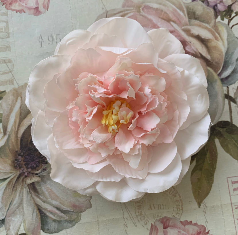 The Peony Collection