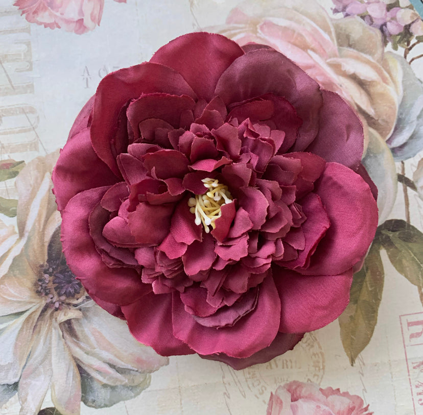 The Peony Collection